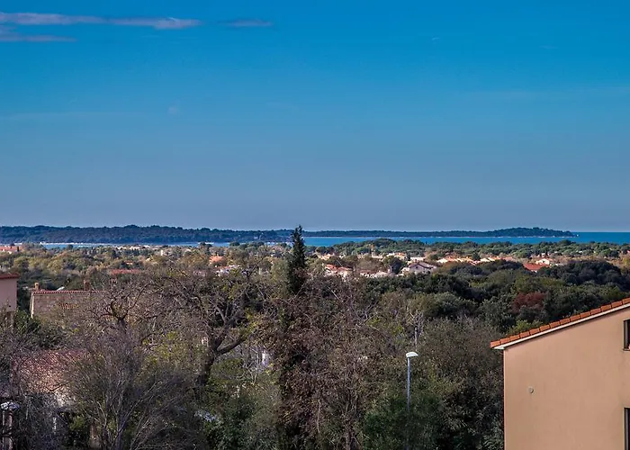 招待所 Veli Vrh 3*